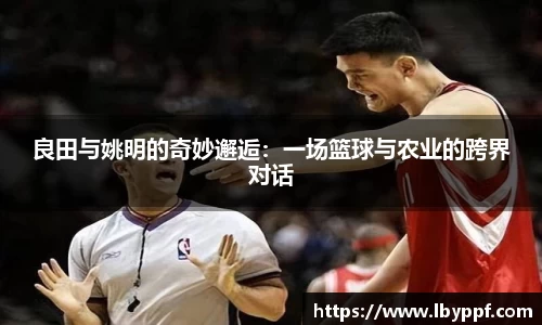 良田与姚明的奇妙邂逅：一场篮球与农业的跨界对话